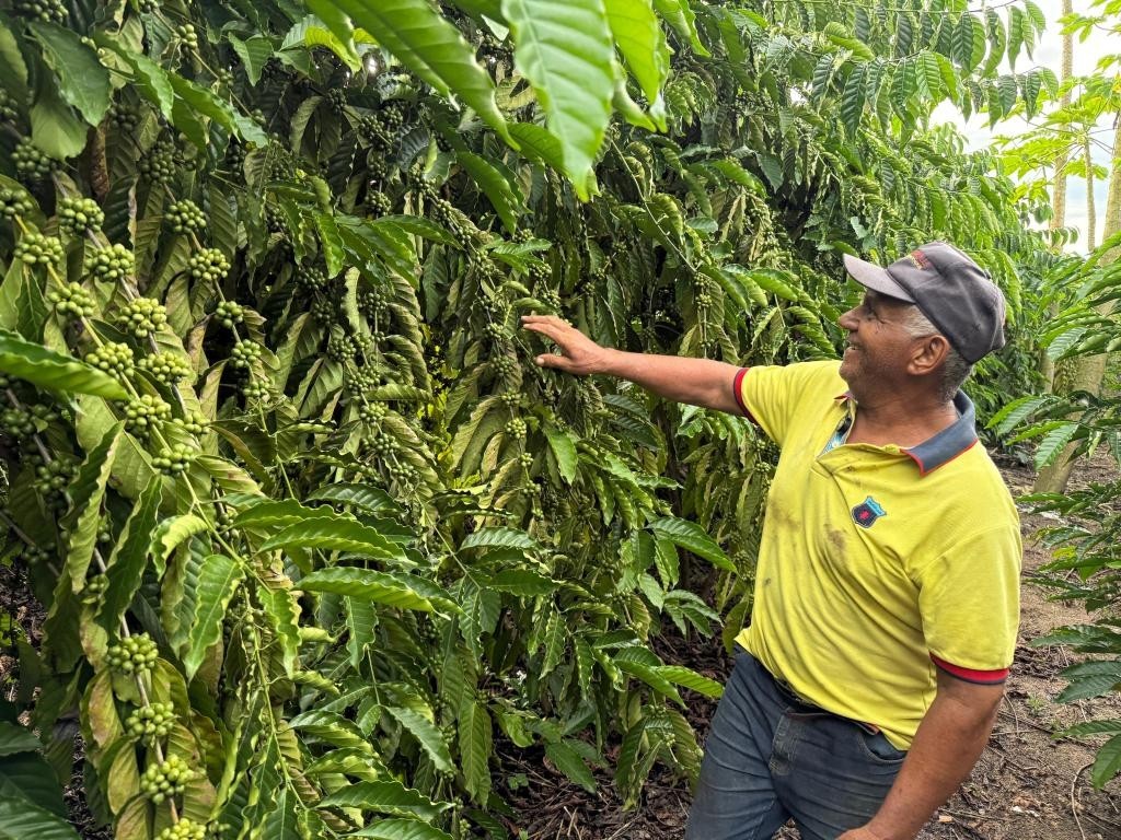 Café garante renda e recomeço para família de Castanheira