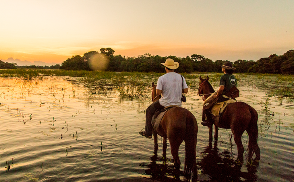 Governo lança em julho programa de pagamento por conservação no Pantanal