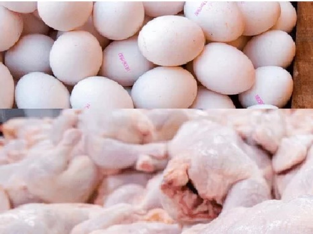 Mercado de frango e ovos enfrenta baixa nos preços com impacto direto ao produtor