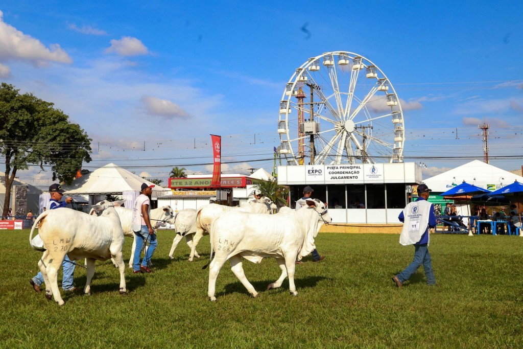 ExpoLondrina espera público recorde e R$ 1,5 bilhão em negócios