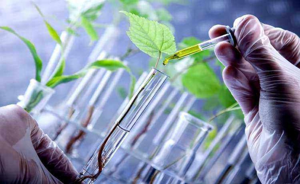 Bioinsumos impulsionam a produtividade e ajudam o produtor a economizar