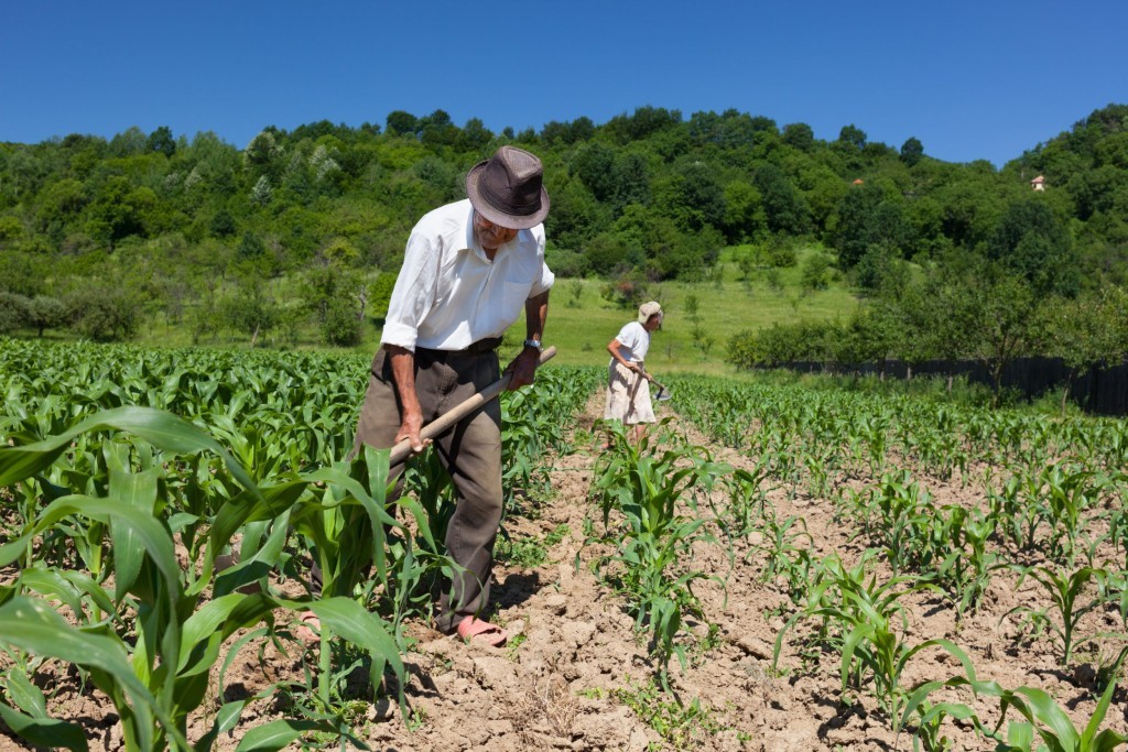 Redução da jornada pode elevar custo do agro em até 8%, estima CNI