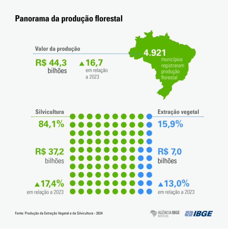 Produção florestal bate recorde de R$ 44,3 bilhões em 2024, impulsionada pela celulose