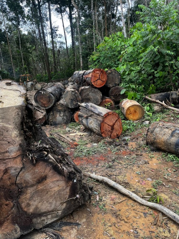 Sema apreende máquinas e aplica multa de R$ 200 mil por extração ilegal em Colniza