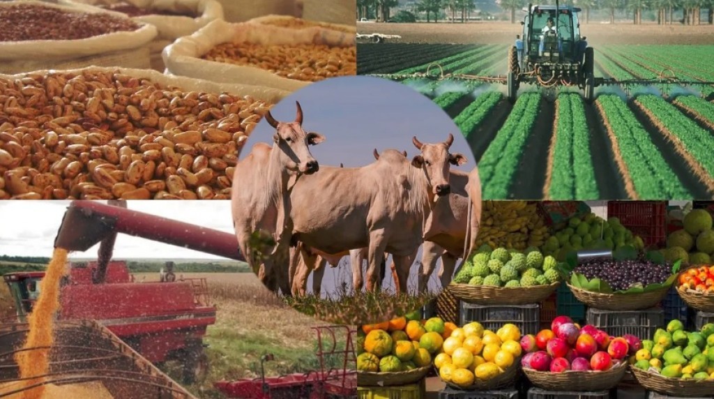 Estado adere à plataforma Selo Verde visando aumentar exportações