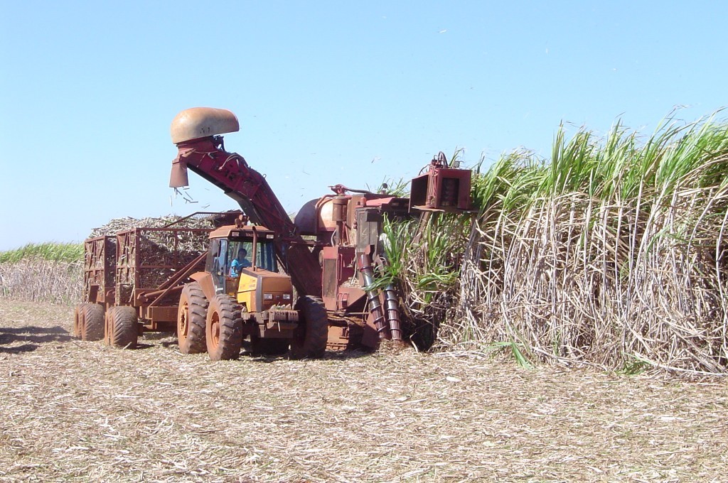 Seca e mercado impulsionam antecipação da colheita de cana