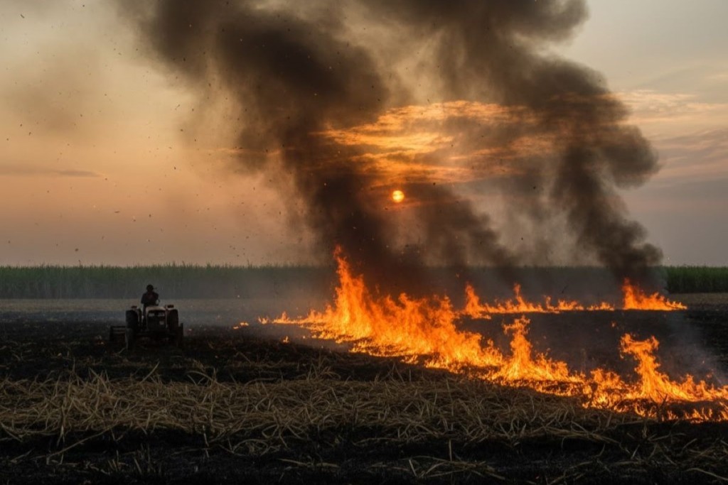 Proibição de queimadas agrícolas vai até o fim de outubro por risco extremo