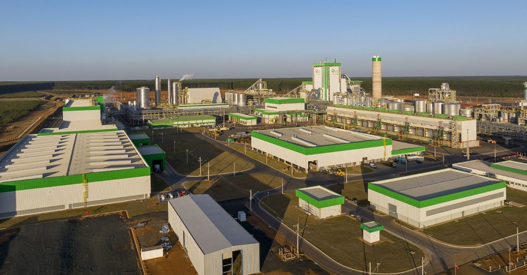 Indústria da celulose cresce 10,1% em 2025 com alta das exportações