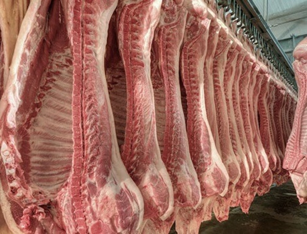 Exportações de carne suína crescem 8,3% em abril
