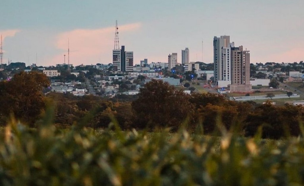Seminário Nacional vai discutir plano para combater nematoides e reduzir prejuízos bilionários no campo