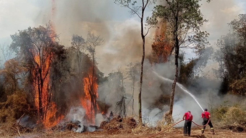 Mato Grosso recebe congresso internacional sobre incêndios florestais