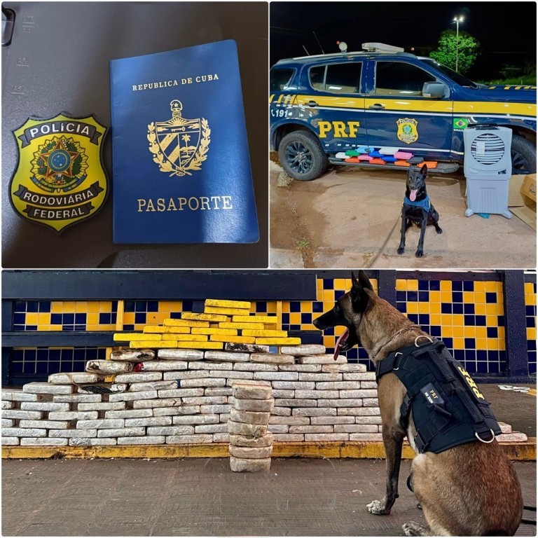 PRF apreende mais de 130 kg de drogas e detecta documento falso nas BRs 364 e 070, em Mato Grosso