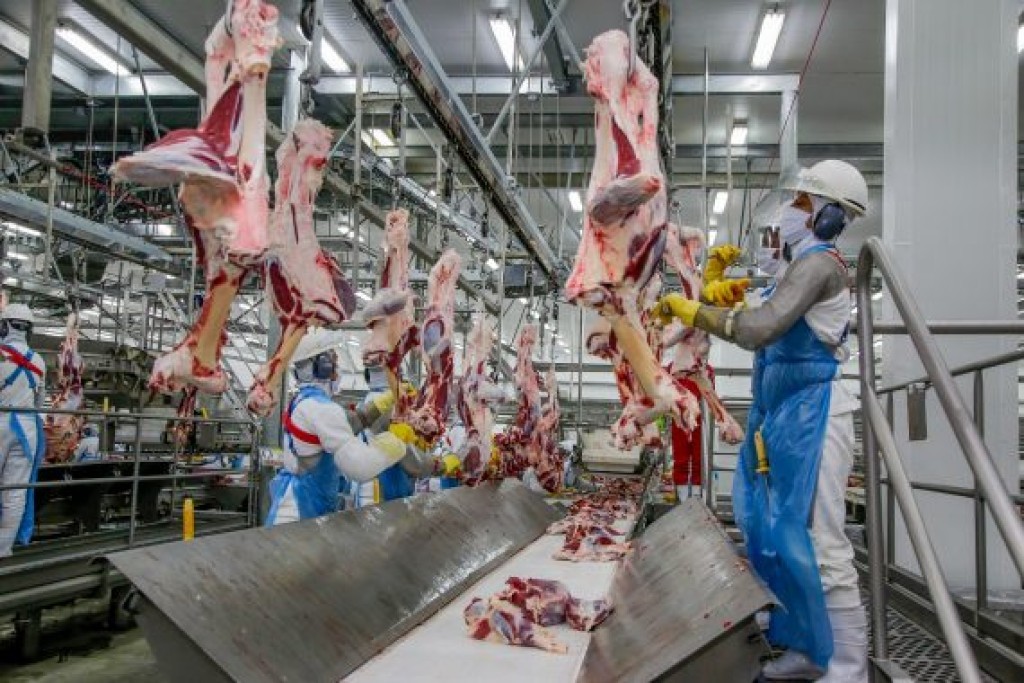 Estado conquista espaço global com defesa agropecuária e carne bovina