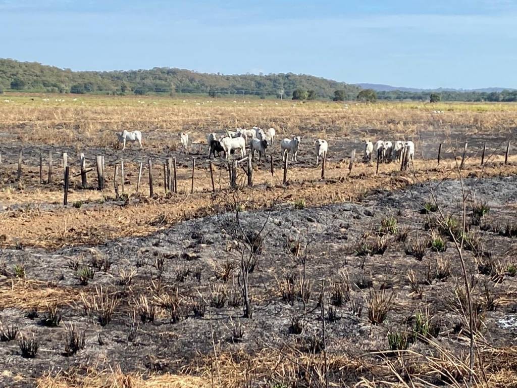 Governo vai investir R$ 7 milhões no combate a incêndios no pantanal