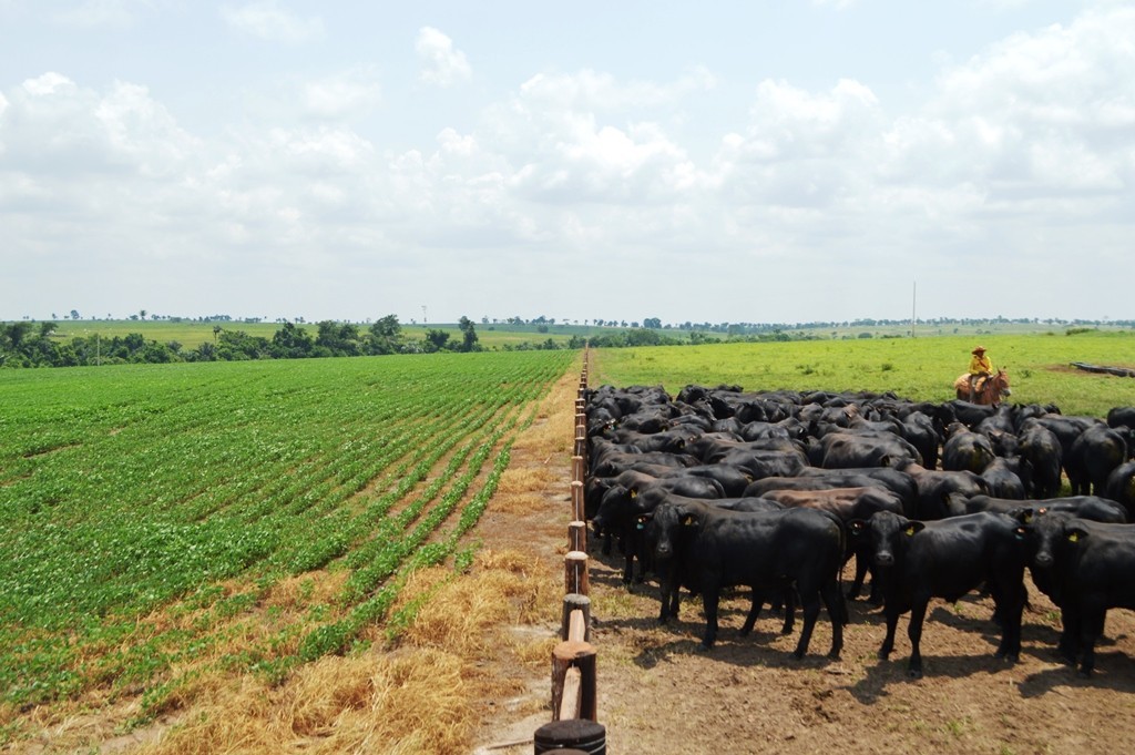 Estado deve ter o 3º maior crescimento do PIB em 2025, puxado pelo agro