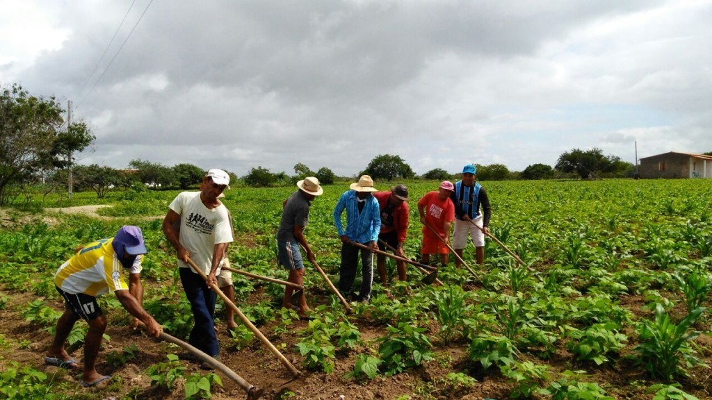 25 de maio, o Dia do Trabalhador Rural