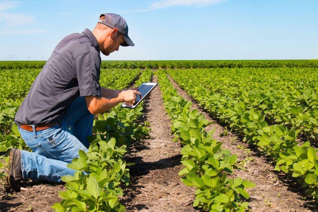 Desenrola 2.0 prevê renegociar dívidas de até 800 mil agricultores familiares