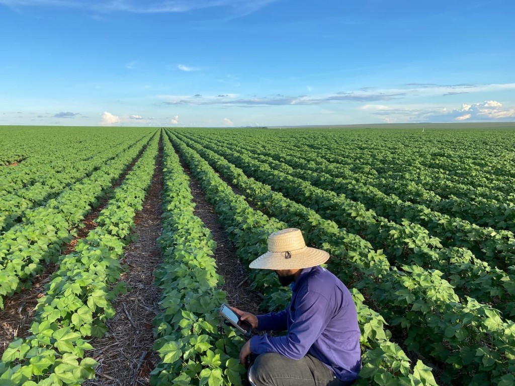 Agro mantém quase um terço do PIB e reforça peso estrutural na economia