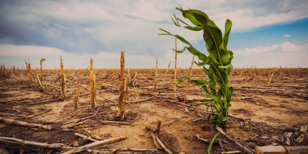 Plano Clima redefine crédito e regras ambientais e pressiona o agronegócio