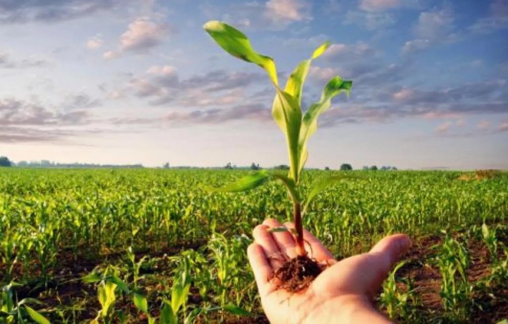 Novas regras ambientais mudam Seguro Rural e reforçam papel do agro na preservação ambiental