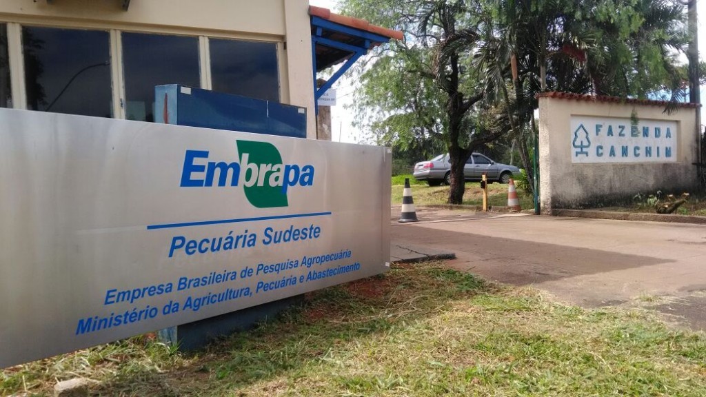 Embrapa cria tecnologia que usa satélites para ajudar produtor