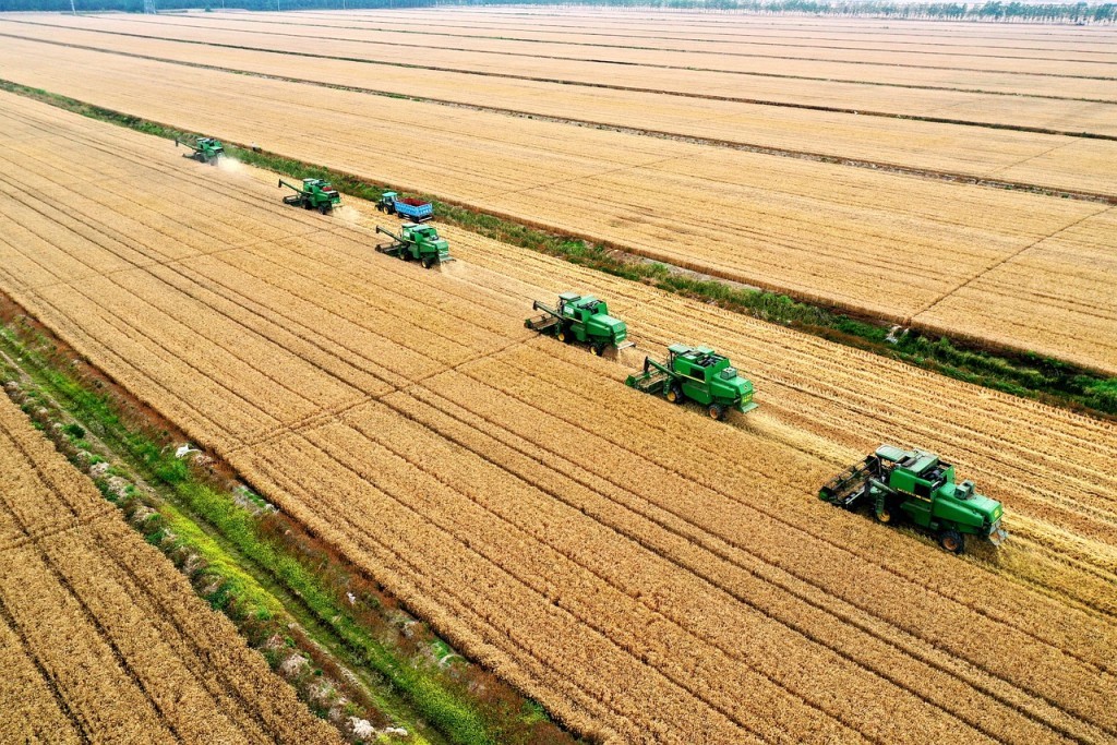 Agricultura, pecuária, celulose, pesca e aquicultura receberão R$ 10 bilhões em incentivos fiscais até 2028