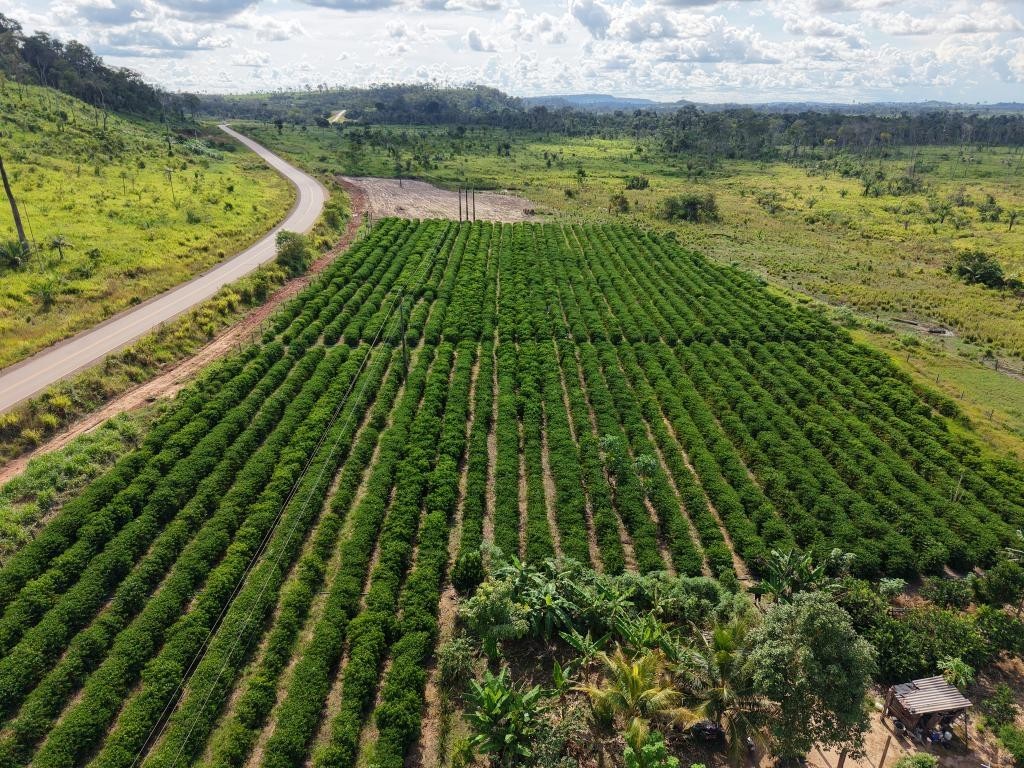 Governo publica edital de R$ 76,7 milhões para fortalecer pequenos produtores em MT