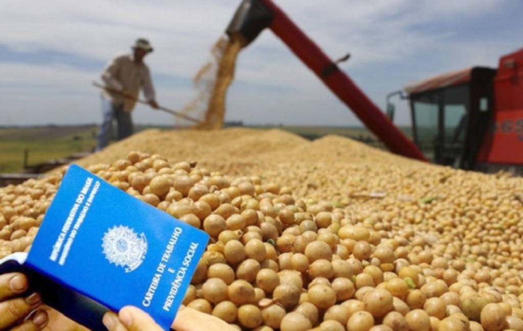 Agronegócio criou 35.754 novos empregos formais em janeiro