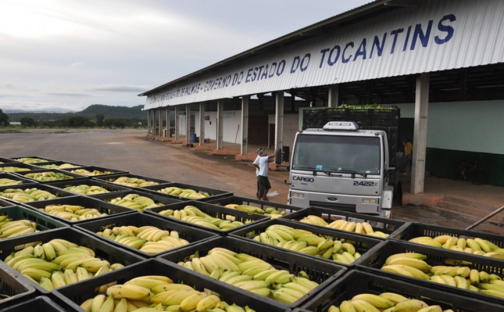 Governo lança Painel de Cotações Agropecuárias da Ceasa