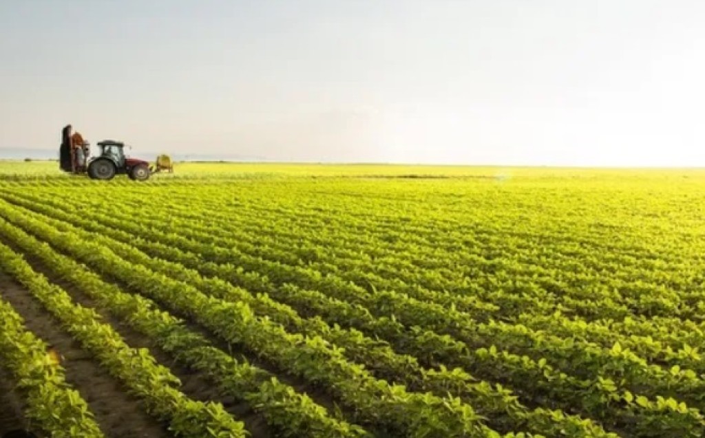 Valor da produção agropecuária atinge R$ 1,4 trilhão em maio