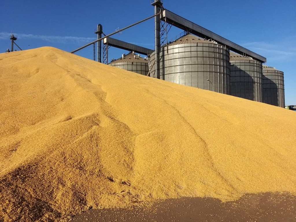 Preço em queda do milho deixa produtores indecisos e pode ampliar área de soja no Brasil
