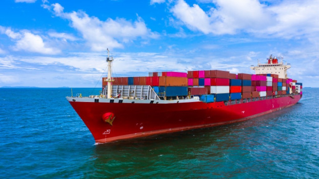 UE propõe mudanças na lei antidesmatamento que podem dar fôlego aos exportadores