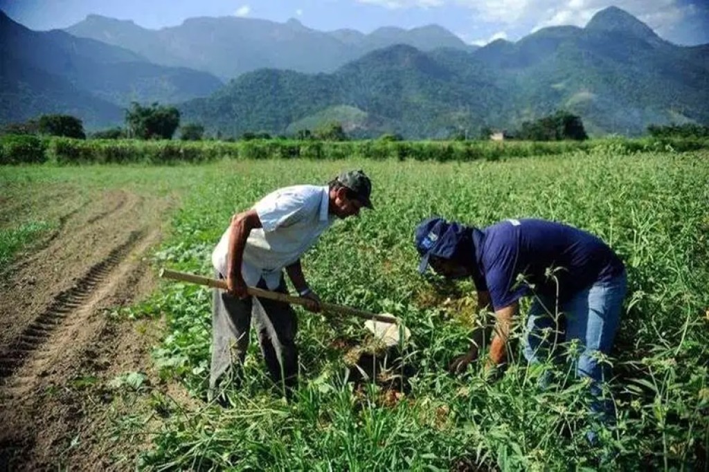 Bahia recebe R$ 877,5 milhões para fortalecer a agricultura familiar