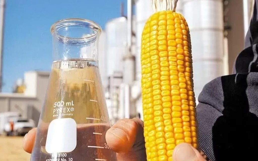 Etanol de milho avança no Brasil e transforma excedente agrícola em energia e renda