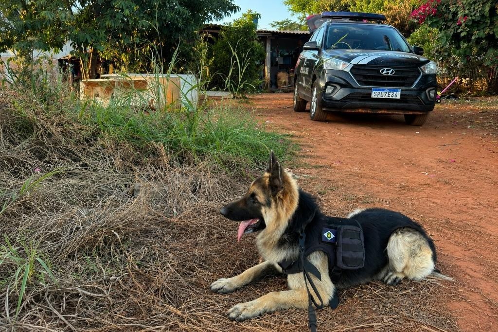 Polícia Civil deflagrou operação contra investigados por homicídio ligado a facção em Tabaporã