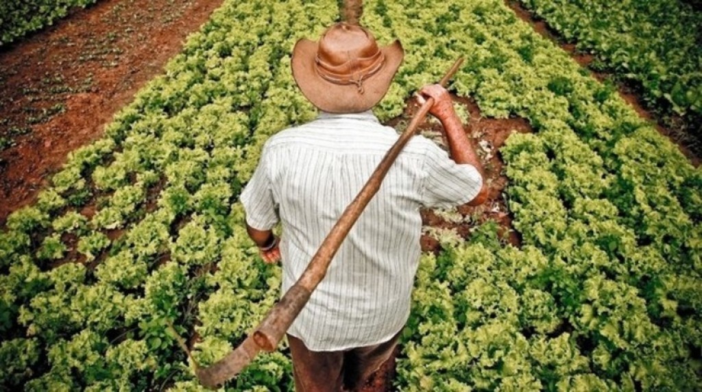 Projeto para proteger pequena propriedade abre debate sobre acesso ao crédito rural