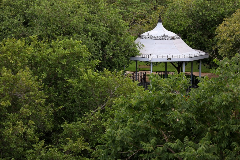 Sema abre inscrições para Trilha Interpretativa de Flora no Parque Mãe Bonifácia