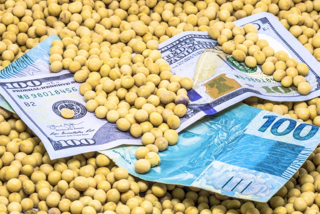 Dólar em queda alivia custos, mas pressiona receita; produtor precisa recalcular margem