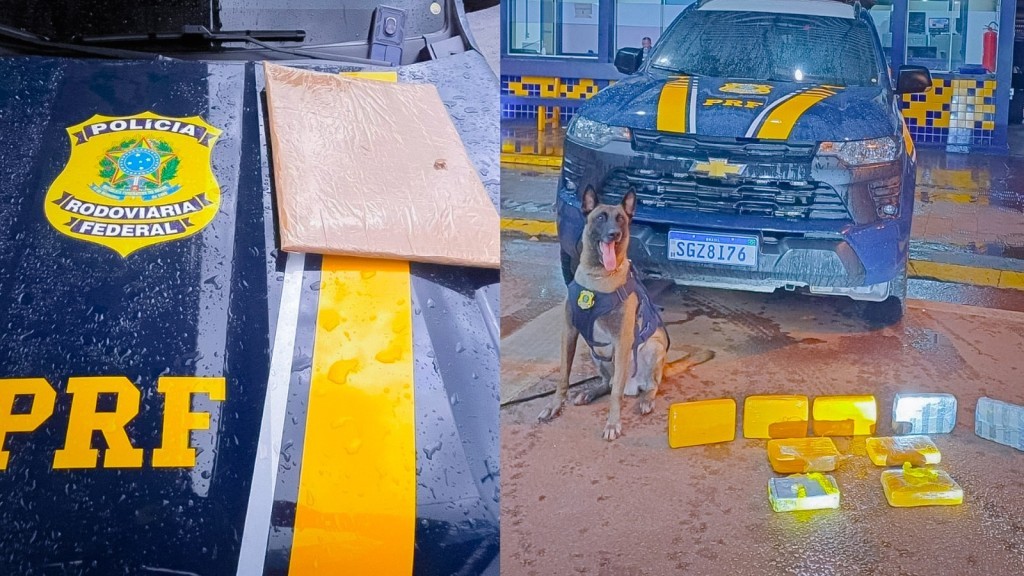 PRF apreende drogas durante fiscalização na BR-364, em Rondonópolis (MT)