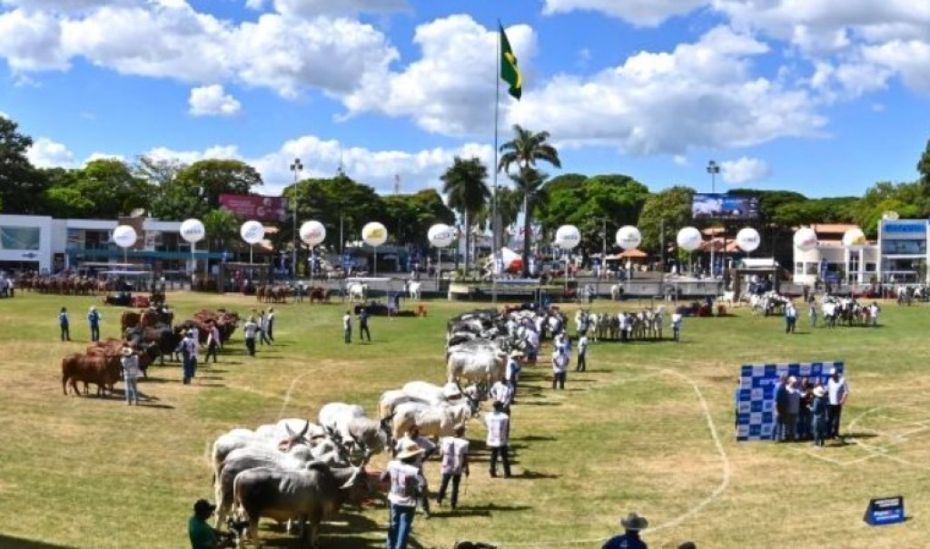 Uberaba sedia a 90ª ExpoZebu e espera R$ 200 milhões em negócios