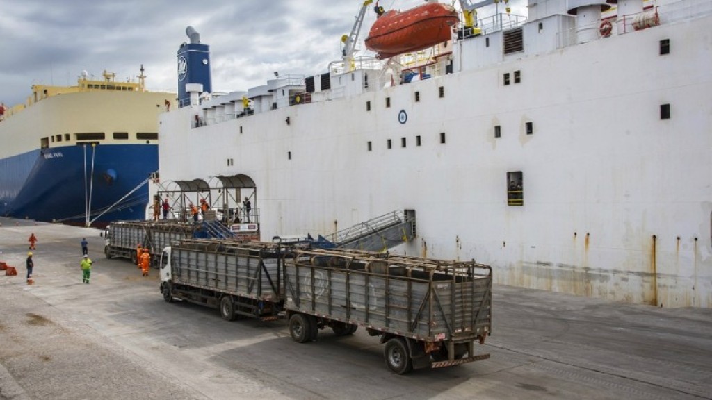 Projeto quer proibir exportar gado vivo. Setor já movimentou R$ 4,3 bi em 2026