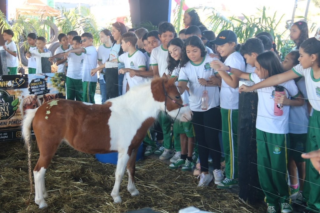 Alunos da rede municipal de Sinop conhecem mini fazenda e participam de interação com animais durante a Exponorte