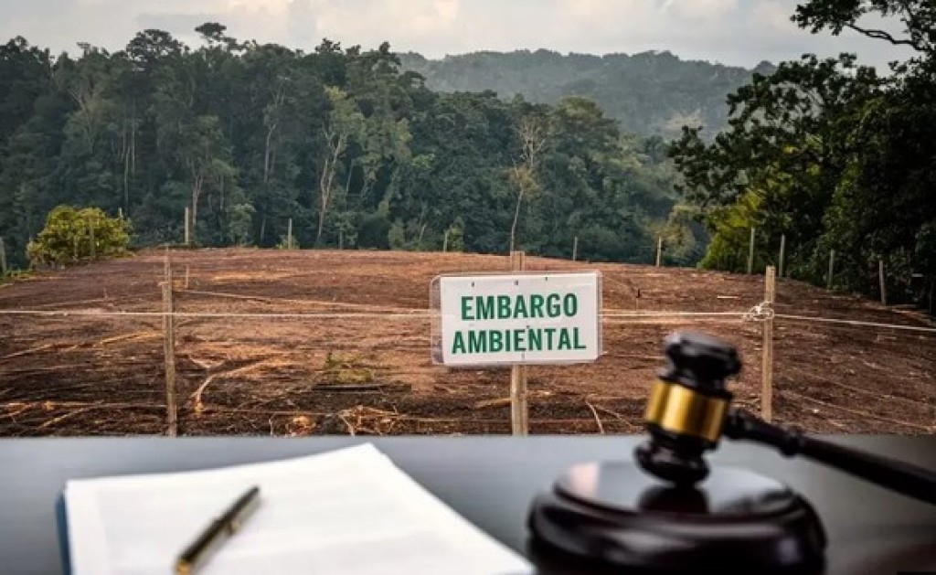 Projeto libera crédito para área embargada após 60 dias sem resposta