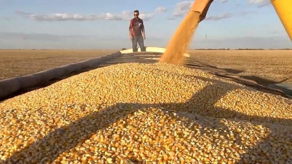 VBP do agronegócio deve crescer 11,4% em 2025 e alcançar R$ 1,41 trilhão