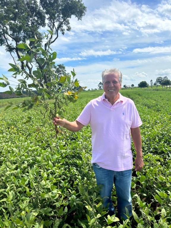 Verdana Agropecuária investirá R$ 20 milhões em sistema de Integração Lavoura x Pecuária (ILP)