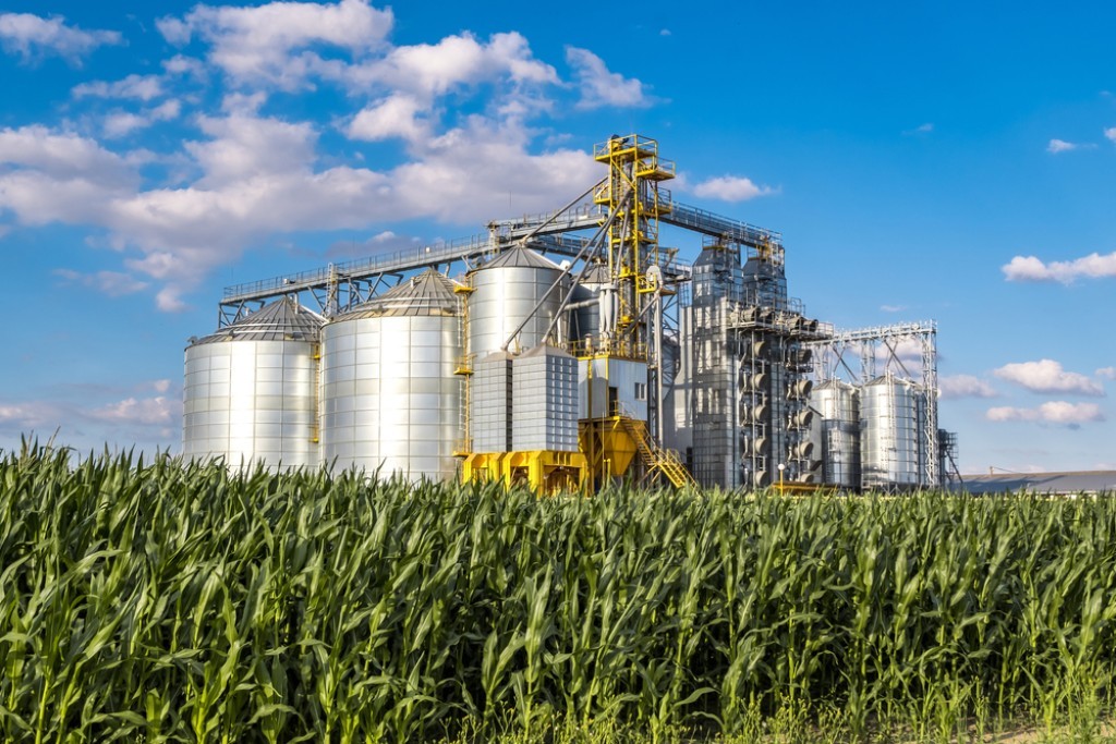Abiove prevê que em 2026 seguirá líder global com produção de 177,7 milhões de toneladas