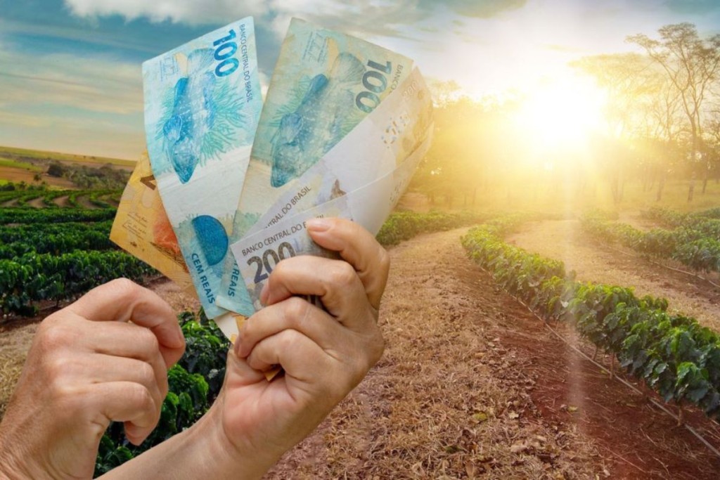 LCAs lideram crédito privado ao agro com estoque de R$ 589 bilhões