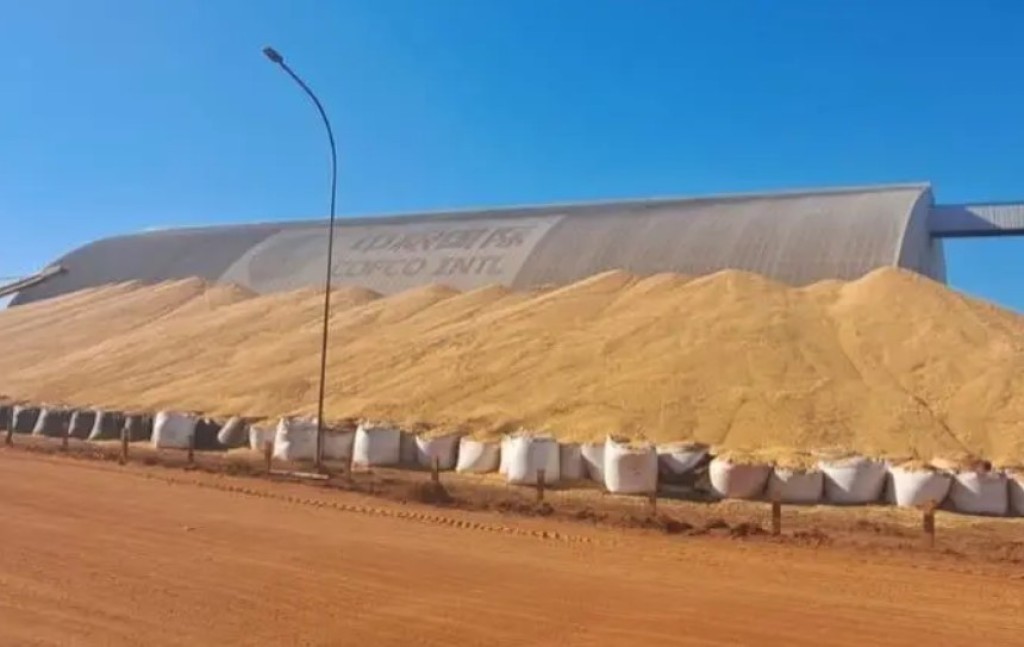 Supersafra histórica expõe gargalos logísticos e ameaça renda do produtor rural