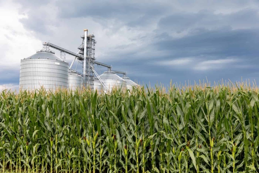 Novas regras da ANP ampliam cobertura e exigências para produtores de biocombustíveis