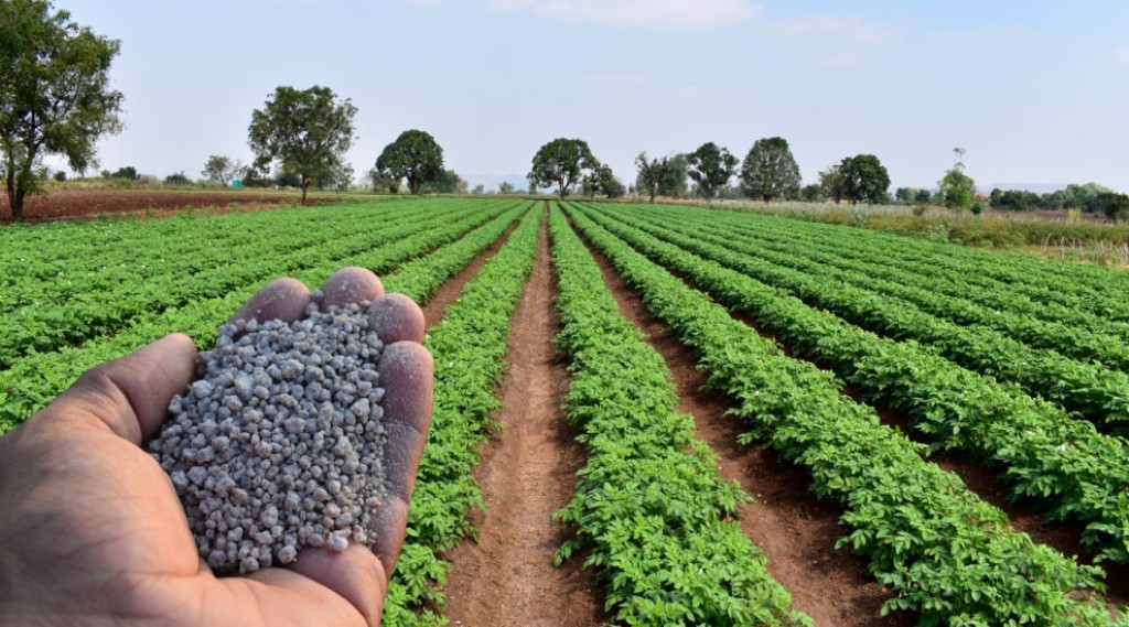 Sanções à Rússia pode encarecer fertilizantes e aumentar custos